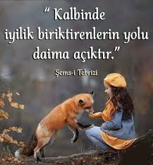 Mevlana Ve Sems Sozleri Auf Instagram Semsitebrizi Sems Sozler Tasavvuf Edep Tevekkul Kunfeyekun Ila 2020 Ilham Verici Sozler Pozitif Dusunceler Guzel Soz
