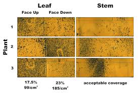 Drop Arms Can Improve Coverage On Field Peppers Sprayers 101