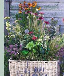 Kreative Pflanzideen Originelle Gefasse Und Arrangements Fur Ein Grunes Zuhause Amazon De Philippa Pearson Bucher Pflanzideen Pflanzen Urbane Landwirtschaft