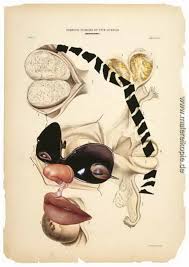 Den originalartikel finden sie hier: Myomen Der Gebarmutter Di Wangechi Mutu Von Wangechi Mutu Olgemalde Reproduktion