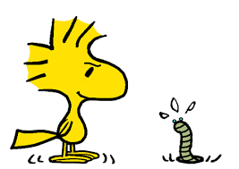 Woodstock S Favorite Snack Food Is Worms Snoopy Drawing Snoopy Funny Snoopy Images