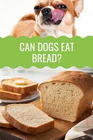 Can Dogs Eat Bread Barking Royalty Can Dogs Eat Dog Bread Dog Nutrition