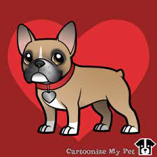 Cute Masked Fawn Frenchie French Bulldog Art French Bulldog Drawing Bulldog Clipart