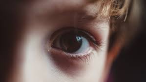Explainer How Our Eyes Make Sense Of Light Science News For Students
