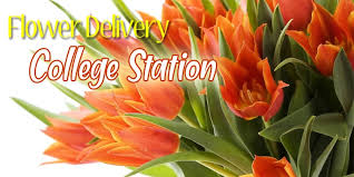 With newly renovated apartments, college station is the perfect spot to call home. The 8 Best Options For Flower Delivery In College Station 2021