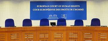 Image result for European Court of Human Rights (ECHR) wikimedia commons