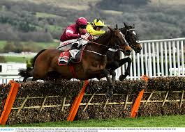 Odds, betting tips, runners and free bets. W0sn Flt4sbd8m