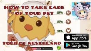 How To Take Care Of Your Pet Tour Of Neverland Youtube