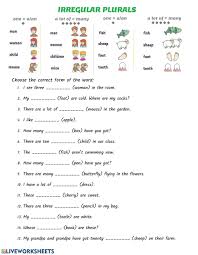 You can use singular or plural with nouns like family, class, police, team, army, band, choir, class, club, crew, company, firm, gang, government, orchestra, party, staff, etc. Irregular Plurals Worksheet