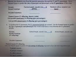 Punnett square punnett square notes 6 easy steps to solve a punnett square problem: 5 Illustrate The Dihybrid Cross From The Parental Chegg Com