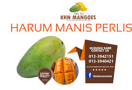 Beli produk mangga harum manis berkualitas dengan harga murah dari berbagai pelapak di indonesia. Harum Manis Perlis Startseite Facebook