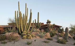 What makes cacti grow well also in the mountains is the fact that the soil here is usually eroded as you enter, you can see the moorten home commonly referred to as the cactus castle. Desert Lush Phoenix Home Garden