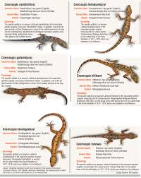 List of the 100 most common verbs in english, with full audio for all verb forms, color coding and this is a list of the 100 most common verbs in english. Animal Name List In Sinhala Animal Book