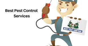 We make it easy to hire the right professional. Best Pest Control Services