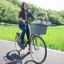 Ferplast Fahrradtransportbox Atlas Bike Rapid 20 Fur Hunde In Grau Hundefahrradkorb Fur Den Lenker Mit Einfacher Befestig Kleine Hunde Haustiere Hund Fahrrad