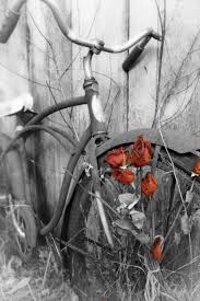 Art Black And White Pictures To Color Imgur Color Splash Photo Color Splash Photography Black And White Pictures