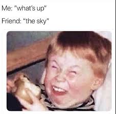 Pin By Ally On Meee Funny Pictures Funny Funny Memes