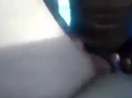 Algerian, Newest:Page 1 - XXX BULE