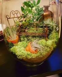 Sweetfamily von nordzuckervideosgarten im glas. 50 Garten Im Glas Ideen In 2021 Minigarten Pflanzen Garten