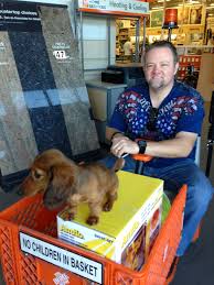 Harley Taking Me Around Home Depot Dogs Are Welcome At Our Favorite Home Depot Heating Services Home Depot Home Loans