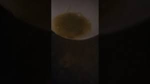 Image result for Kim Lapointe rev 12 Jesus Christ real DNA cousin and wife