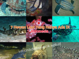 9400 Gambar Hewan Yang Ada Di Dalam Laut Gratis Gambar Hewan