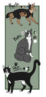 Pin On Cats Stuff