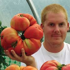 Dr. Marv Meisner's Giant Tomatoes