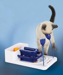 With so many puzzle games for cats on the market, figuring out which one to purchase can be tricky. Pin On Animals Cat Furniture Worth Purring For