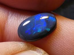 Image result for Black Opal 2011 HS