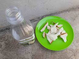 Membuat baja sendiri menggunakan ikan untuk kesuburan tanaman hias termasuk sayuran. Cara Buat Baja Roti Dan Air Hasilnya Tanaman Subur Baja Organik
