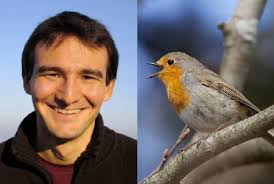 The secret navigational powers of birds