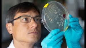 Jeff Gore '99 » MIT Physics