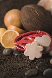 Le Savon California Girl Le Savon Des Vacances Eternelles Avec Son Arome D Agrumes Et Noix De Produits De Beaute Naturels Produits De Beaute Beurre De Cacao