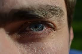 Check spelling or type a new query. Why Are Long Eyelashes Attractive On Men Fine Feather Heads