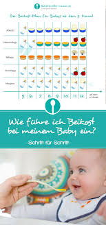 Beikost Einfuhren Fur Babys Ab Dem 5 Monat So Geht Es Beikost Baby Beikost Babynahrung