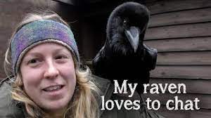 Though its answer little meaning—little relevancy bore . Fable The Raven Did You Know Ravens Can Talk Youtube