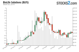 Blfs Stock Buy Or Sell Biolife Solutions