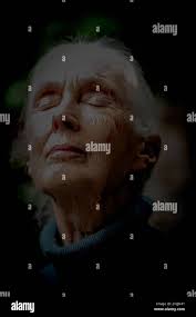 Stephen morris hi-res stock photography and images