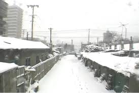 Ruinated Futurity: The “Dongbei Renaissance,” Literature, and ...