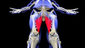 A groyne (ame groin) is a low wall or timber framework built out from a sea shore to prevent beach erosion … Tip How To Really Stretch Your Groin T Nation