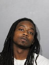 PORTER, ERIK D 38 BLACK M CHARGES: 720 ILCS 5.0/24-1.6-A-1 AGG  UPW/VEHICLE/NO FOID OFFENSE AS CITED 9-8-030(A) FLASHING RED SIGNAL STOP  OFFENSE AS CITED