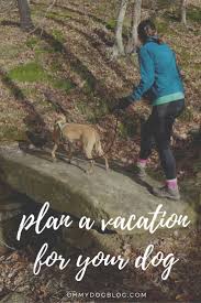 Do you need a pigeon forge or select location sevierville 2319 cub cir sevier county pigeon forge gatlinburg 152 w ogle dr. Dog Friendly Vacations Plan Your Trip Around Your Pup Oh My Dog