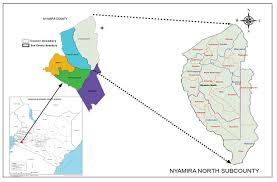 Image result for Rytigynia acuminatissima