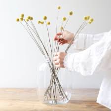 Maybe you would like to learn more about one of these? Preserved Natural Billy Buttons Craspedia Flowers Lisa Angel
