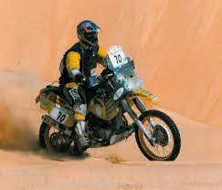 Ccm Dakar Special Rust Sports