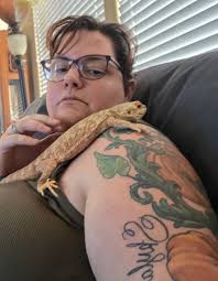 Bearded dragon socialization and care