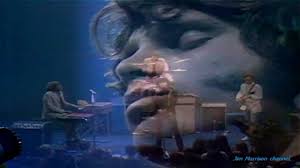 Pin On The Lizard King And The Doors
