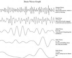 What Are Brain Waves Theta Delta Alpha Beta Brain Waves What Is Brainwave Entrainment Brain Waves Brainwave Entrainment What Is Brain