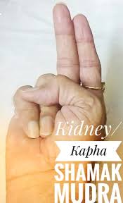 Curing Kidney Through Surya, Apan, Jal, Kidney and Akash Mudras –  Hastamudras: Well-being Yoga Learning – A Gagan Dhawan YogaAcharya's  Philanthropic Initiative!